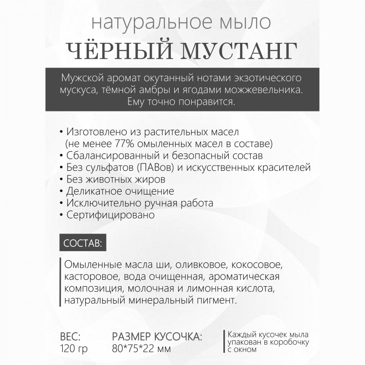 ЧЁРНЫЙ МУСТАНГ